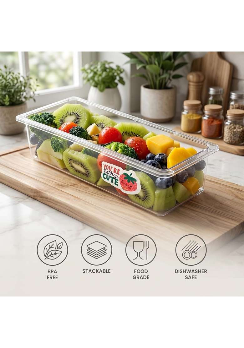 MILTON Cryo Fridge Storage Boxes Fridge Organizer Container with Waterproof Vinyl | 1500 ml | 50.7 fl oz | 6-Piece Set - Indya